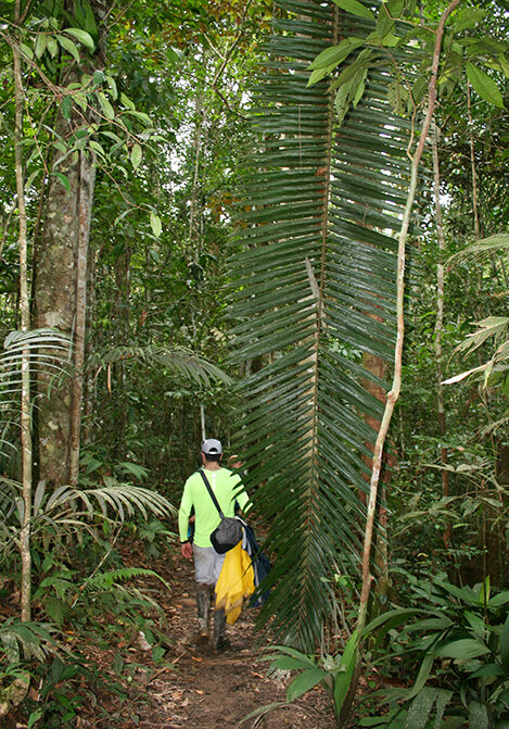 Cuyabeno_3days_1